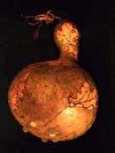 Gourd 3 - Bottom View