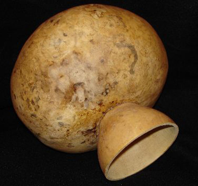 Gourd 2 - view 1